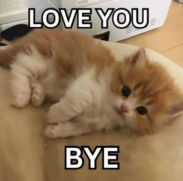 Tạm biệt nhé người anh yêu meme khiến trái tim bạn rung động Tạm biệt nhé người anh yêu meme khiến trái tim bạn rung động
