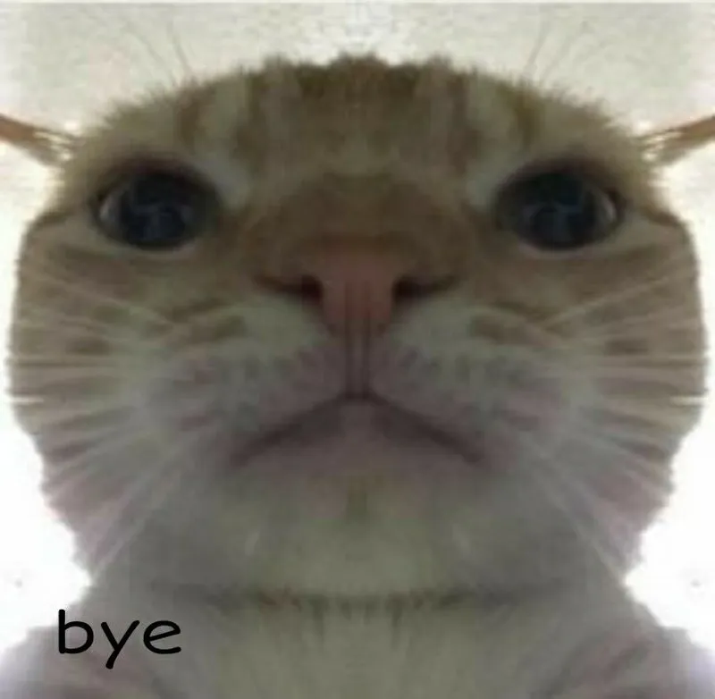 Bye bye meme gif giúp bạn thể hiện cảm xúc một cách sinh động Bye bye meme gif giúp bạn thể hiện cảm xúc một cách sinh động