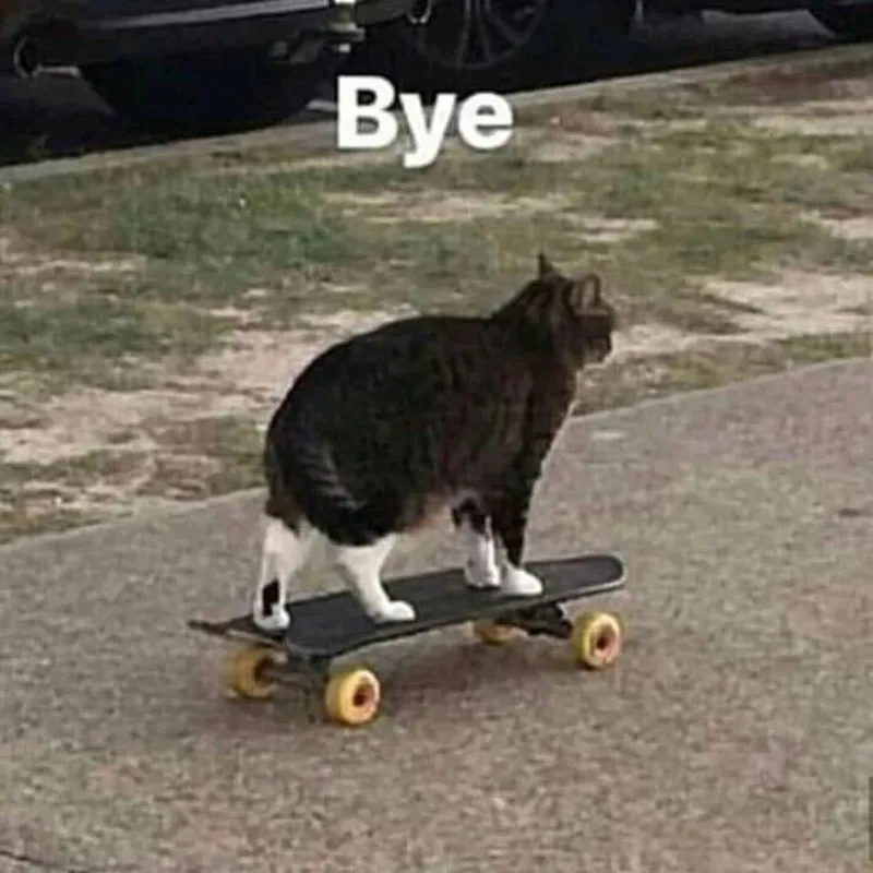 Good bye cute meme khiến mọi lời tạm biệt trở nên đáng yêu hơn Good bye cute meme khiến mọi lời tạm biệt trở nên đáng yêu hơn