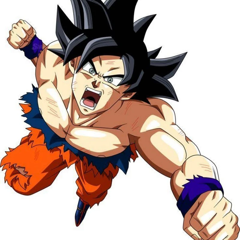 Nhân vật hoạt hình songoku luôn thu hút sự chú ý của người xem Nhân vật hoạt hình songoku luôn thu hút sự chú ý của người xem