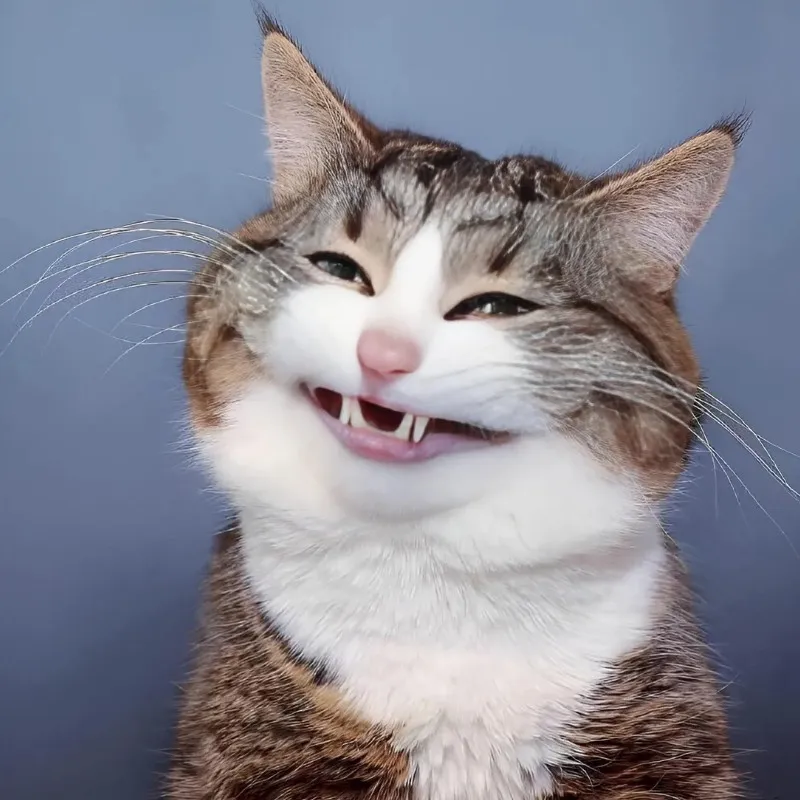 Haha meme face giúp bạn thể hiện cảm xúc một cách hài hước Haha meme face giúp bạn thể hiện cảm xúc một cách hài hước