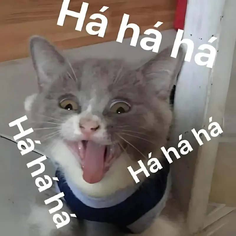 Cười haha meme mang lại tiếng cười cho mọi người trong cuộc sống Cười haha meme mang lại tiếng cười cho mọi người trong cuộc sống