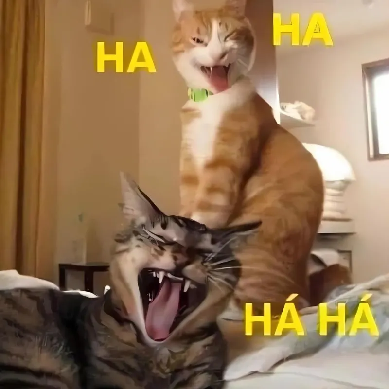Meme hahah mang đến sự vui vẻ cho những ai yêu thích hài hước Meme hahah mang đến sự vui vẻ cho những ai yêu thích hài hước