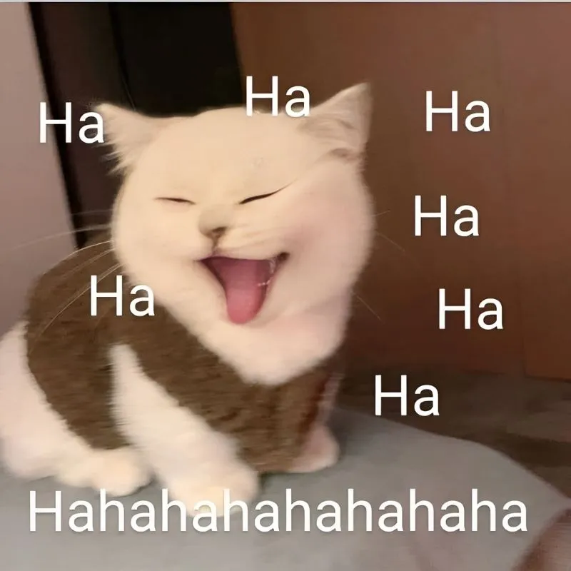 Haha shampoo meme giúp bạn thư giãn và cười thoải mái Haha shampoo meme giúp bạn thư giãn và cười thoải mái