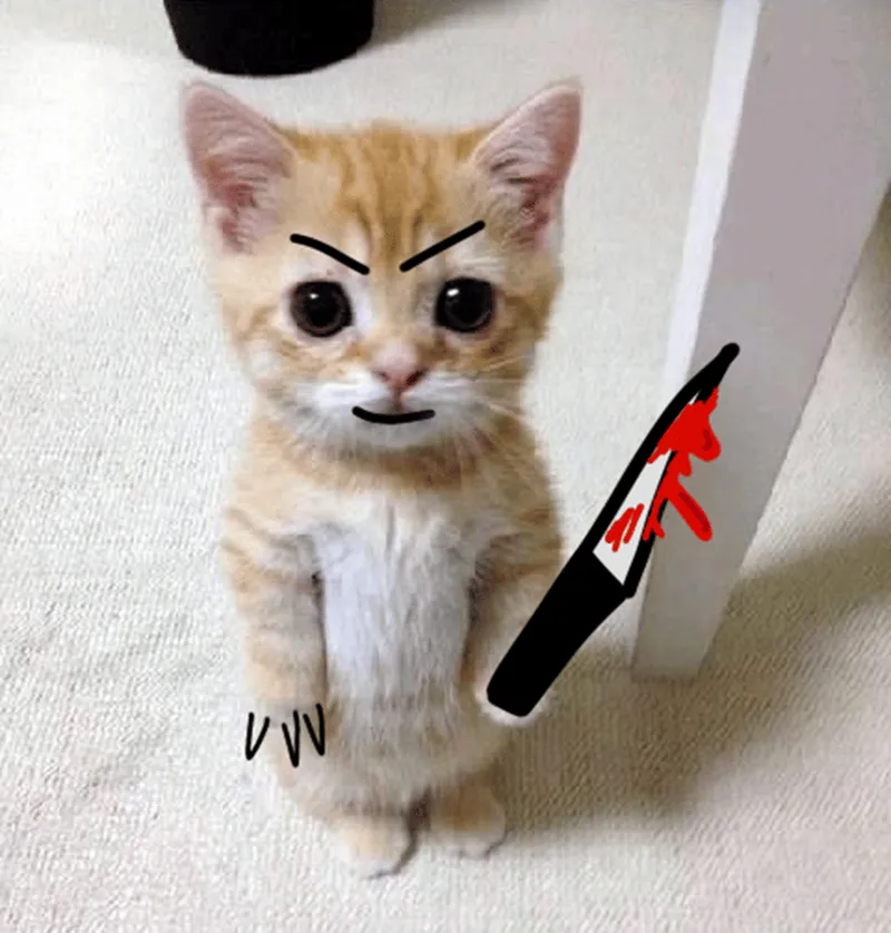 Ảnh meme mèo cầm hoa khiến bạn cảm thấy vui vẻ Ảnh meme mèo cầm hoa khiến bạn cảm thấy vui vẻ