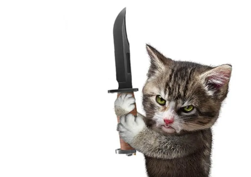 Meme ảnh chế đường tăng cầm súng thật hài hước và thú vị Meme ảnh chế đường tăng cầm súng thật hài hước và thú vị