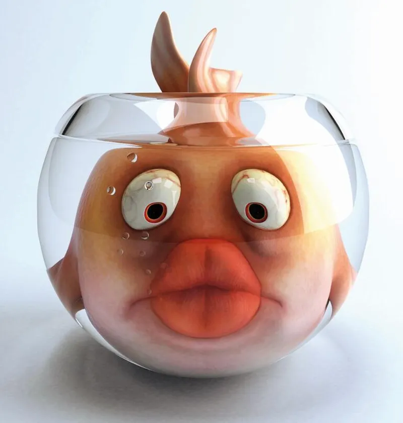 Meme vịt cute weibo giúp bạn thư giãn và cười thoải mái Meme vịt cute weibo giúp bạn thư giãn và cười thoải mái