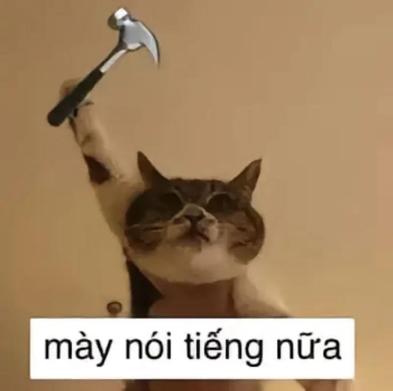 Người ta đánh giá meme khiến bạn cảm thấy thích thú Người ta đánh giá meme khiến bạn cảm thấy thích thú