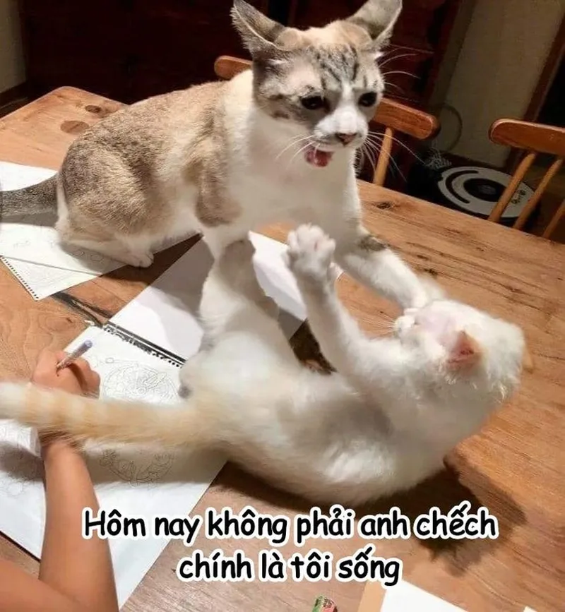 Meme mẹ đánh con thật hài hước và đáng yêu Meme mẹ đánh con thật hài hước và đáng yêu