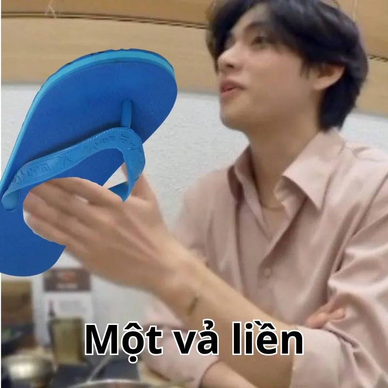Meme mèo đánh lộn thật hài hước và đáng yêu Meme mèo đánh lộn thật hài hước và đáng yêu