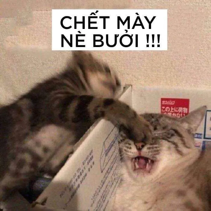 Không được đánh khách hàng meme khiến bạn không thể nhịn cười Không được đánh khách hàng meme khiến bạn không thể nhịn cười
