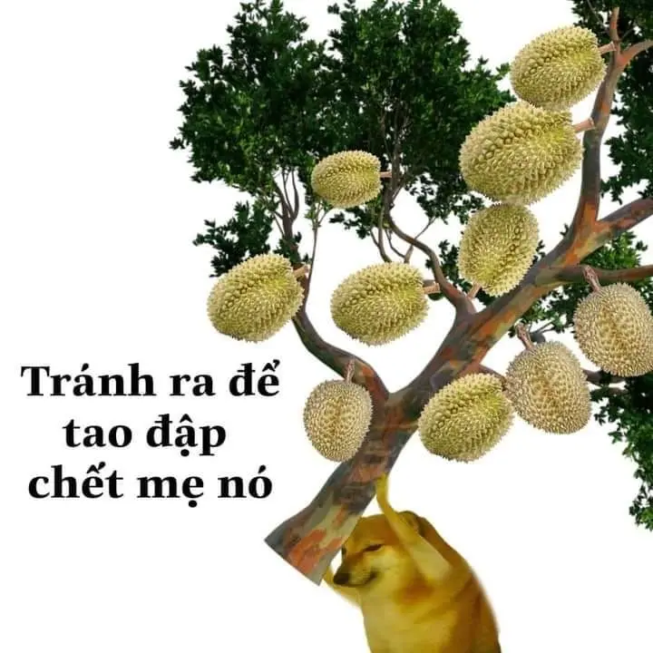 Meme đánh thức thật hài hước và thú vị Meme đánh thức thật hài hước và thú vị