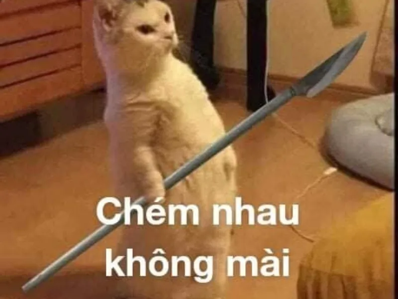 Meme đánh bài tết khiến bạn không thể nhịn cười Meme đánh bài tết khiến bạn không thể nhịn cười
