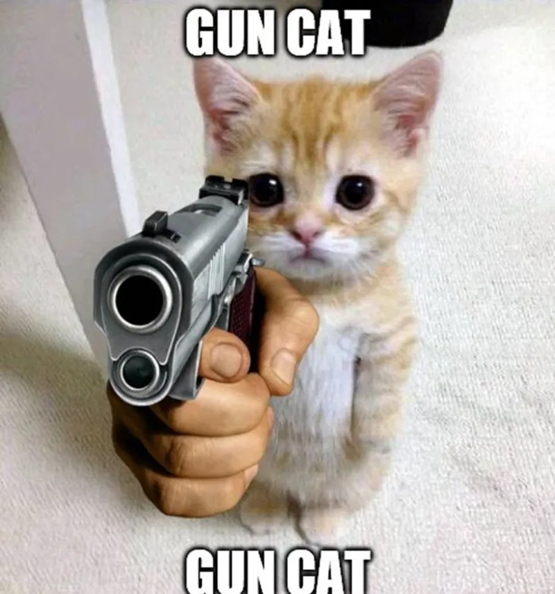 Meme bắn trúng tim giúp bạn thể hiện tình cảm một cách sáng tạo Meme bắn trúng tim giúp bạn thể hiện tình cảm một cách sáng tạo