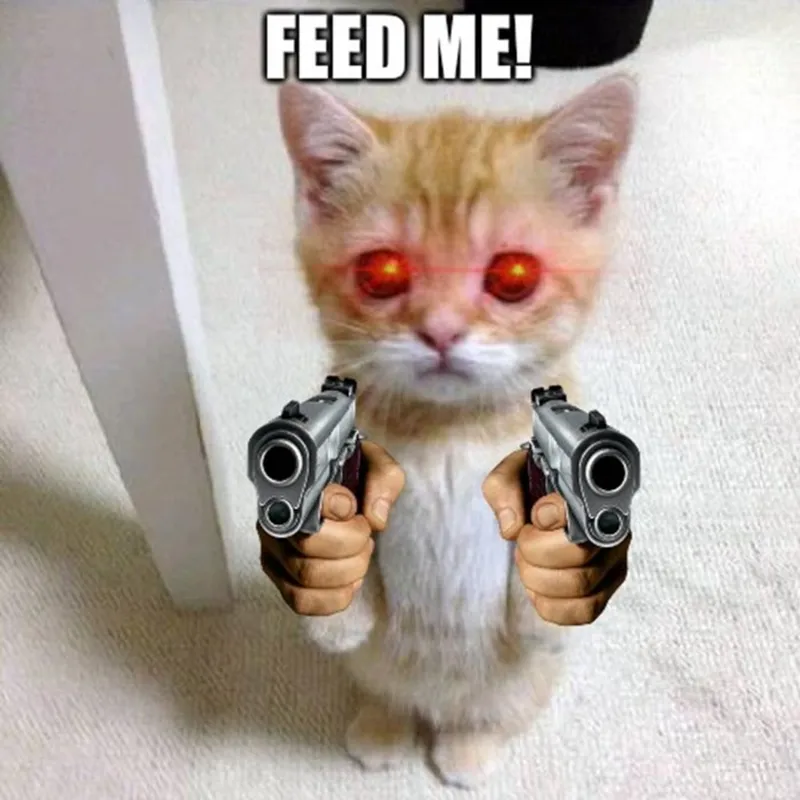 Meme bắn mang đến những khoảnh khắc hài hước và thú vị Meme bắn mang đến những khoảnh khắc hài hước và thú vị