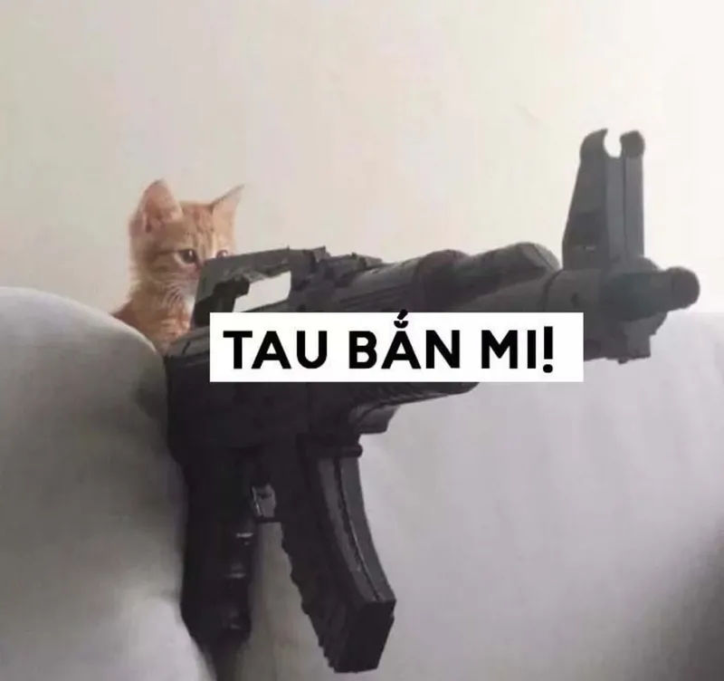 Bắn meme giúp bạn thư giãn và cười thoải mái Bắn meme giúp bạn thư giãn và cười thoải mái