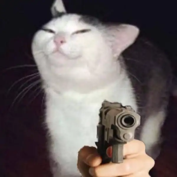 Ảnh meme bắn tim giúp bạn ghi lại những khoảnh khắc hài hước Ảnh meme bắn tim giúp bạn ghi lại những khoảnh khắc hài hước
