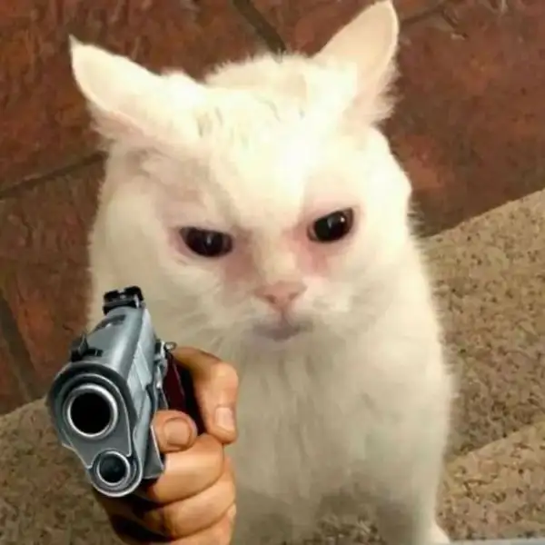 Meme gấu trúc bắn tim dễ thương khiến mọi người không thể nhịn cười Meme gấu trúc bắn tim dễ thương khiến mọi người không thể nhịn cười
