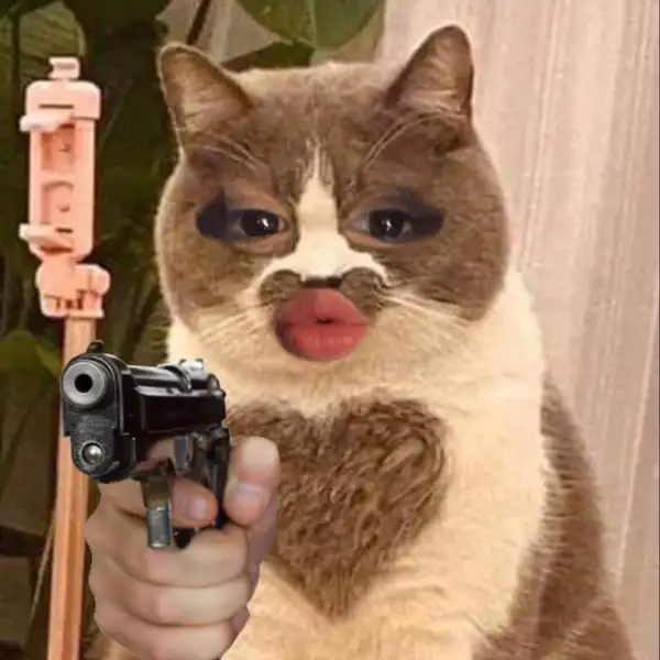 Meme bắn tim cute mang đến sự dễ thương cho những ai yêu thích động vật Meme bắn tim cute mang đến sự dễ thương cho những ai yêu thích động vật