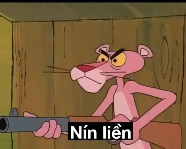 Tặng trái tim meme thể hiện tình cảm một cách hài hước và sáng tạo Tặng trái tim meme thể hiện tình cảm một cách hài hước và sáng tạo