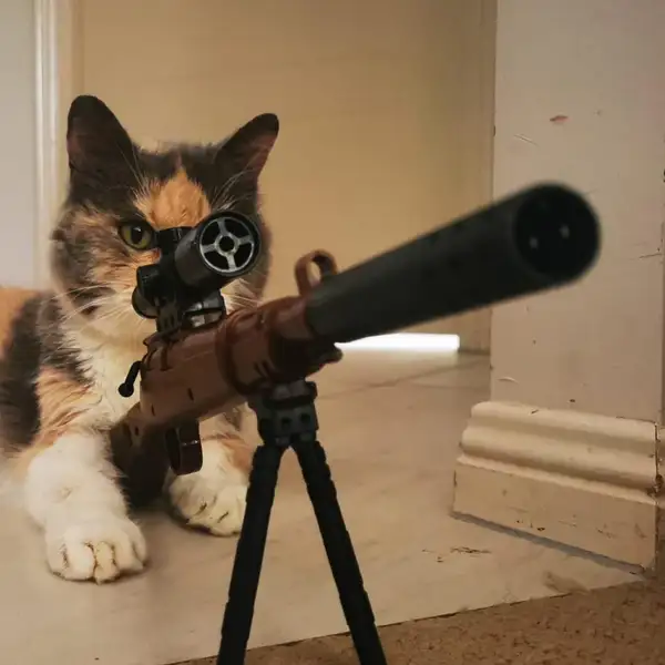 Hình trái tim meme mang đến sự dễ thương cho những ai yêu thích sự ngọt ngào Hình trái tim meme mang đến sự dễ thương cho những ai yêu thích sự ngọt ngào