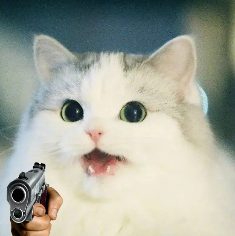 Meme thả tim hài hước mang lại tiếng cười cho những ai yêu thích sự vui vẻ Meme thả tim hài hước mang lại tiếng cười cho những ai yêu thích sự vui vẻ