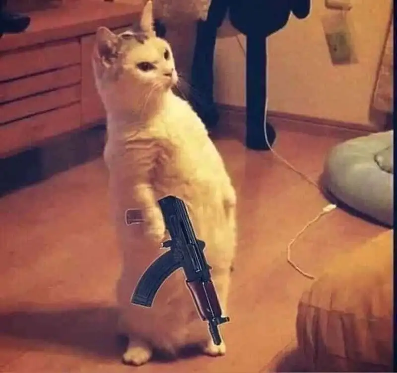 Meme gấu trúc thả tim dễ thương khiến mọi người không thể nhịn cười Meme gấu trúc thả tim dễ thương khiến mọi người không thể nhịn cười