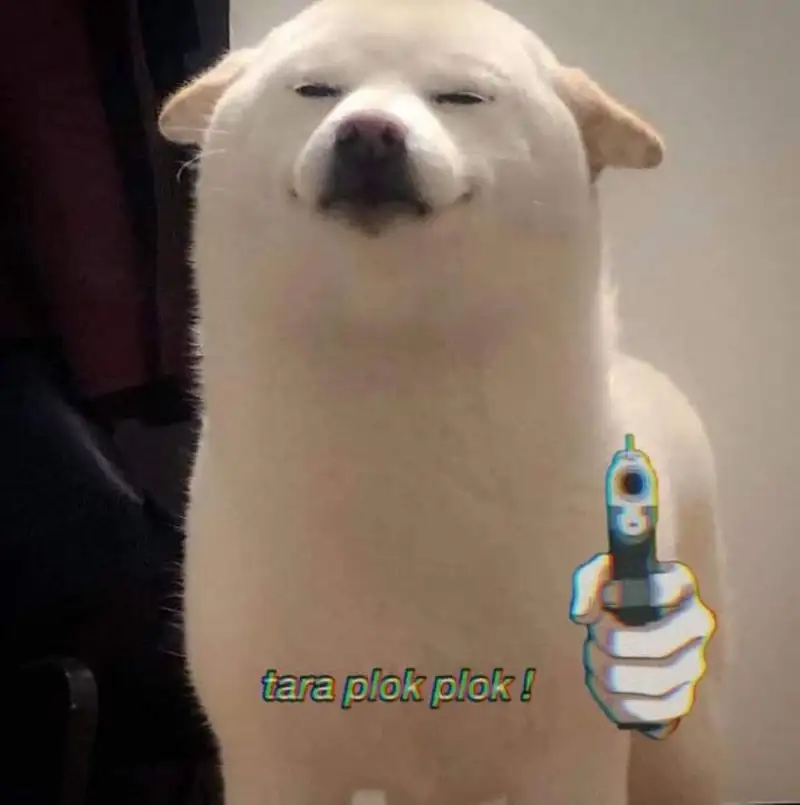 Meme thả tim cute mang đến sự dễ thương cho những ai yêu thích động vật Meme thả tim cute mang đến sự dễ thương cho những ai yêu thích động vật