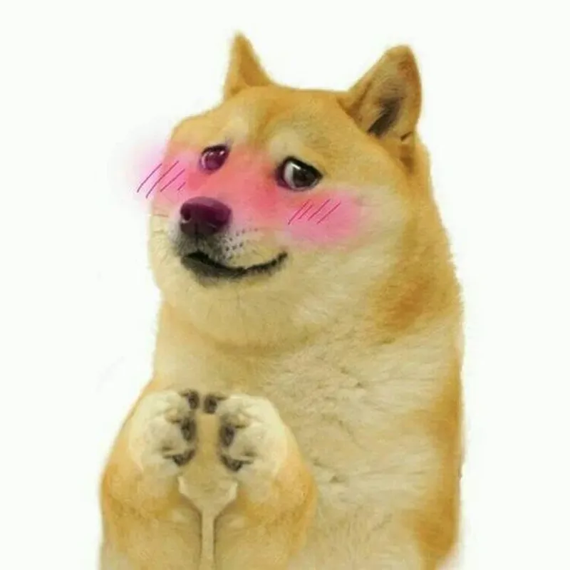Mèo meme ngại khiến trái tim bạn tan chảy