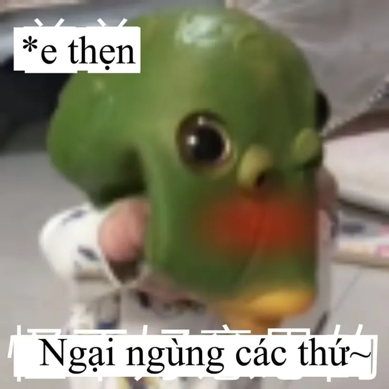 Meme ngại đỏ mặt khiến bạn cảm thấy vui vẻ