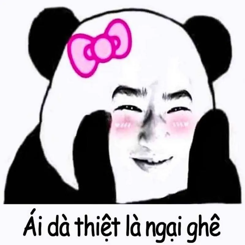 Meme gấu trúc ngại thật đáng yêu và vui nhộn