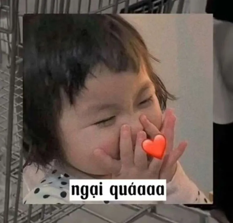 Meme che mặt ngại thật hài hước và thú vị
