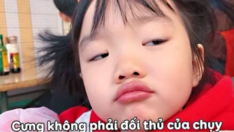 Meme mèo hài mang đến những khoảnh khắc dễ thương và vui vẻ Meme mèo hài mang đến những khoảnh khắc dễ thương và vui vẻ