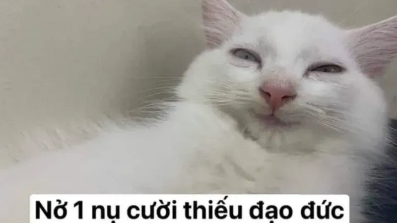 Meme ảnh vẽ hài hước giúp bạn thể hiện sự sáng tạo và hài hước Meme ảnh vẽ hài hước giúp bạn thể hiện sự sáng tạo và hài hước