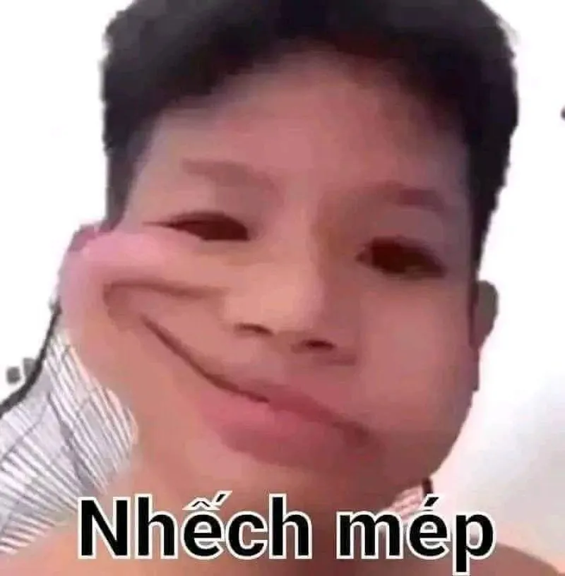 Mèo hài meme khiến mọi người cảm thấy thích thú và vui vẻ Mèo hài meme khiến mọi người cảm thấy thích thú và vui vẻ