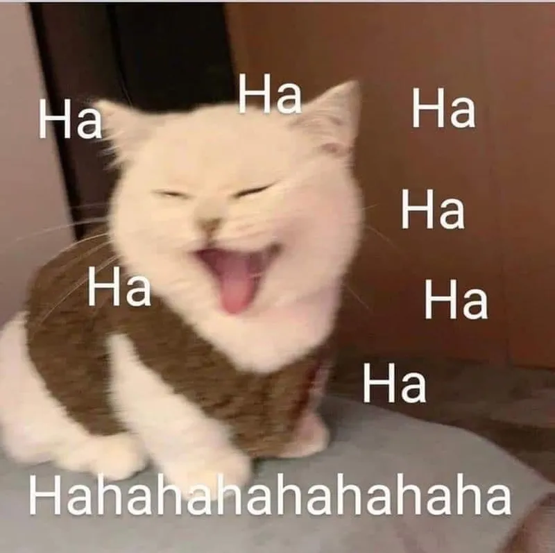 Meme chúc ngủ ngon hài giúp bạn gửi lời chúc một cách vui vẻ Meme chúc ngủ ngon hài giúp bạn gửi lời chúc một cách vui vẻ
