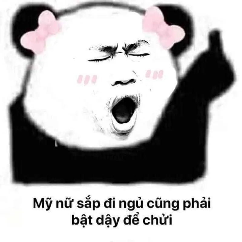 Meme avatar hài hước giúp bạn thể hiện cá tính một cách vui vẻ Meme avatar hài hước giúp bạn thể hiện cá tính một cách vui vẻ