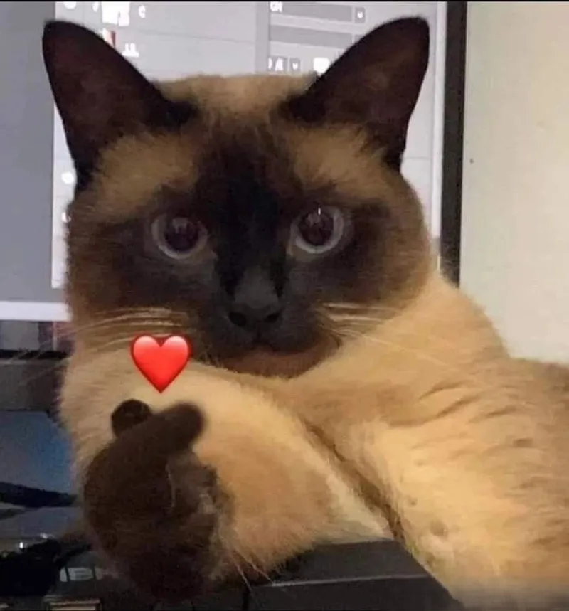 Đội quần hài hước cute ảnh người que meme khiến mọi người không thể nhịn cười Đội quần hài hước cute ảnh người que meme khiến mọi người không thể nhịn cười