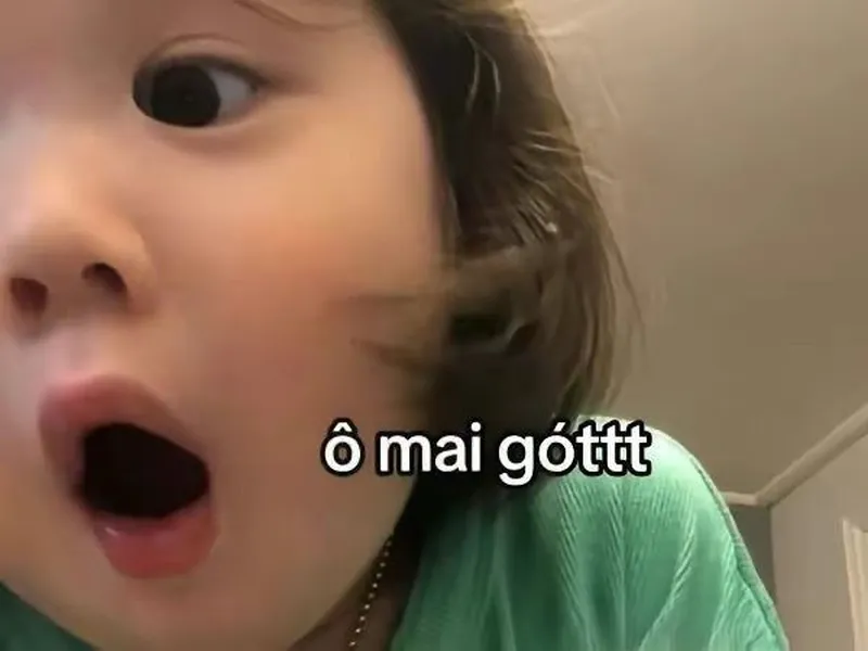 Meme ảnh chuột hamster hài hước khiến mọi người không thể nhịn cười Meme ảnh chuột hamster hài hước khiến mọi người không thể nhịn cười
