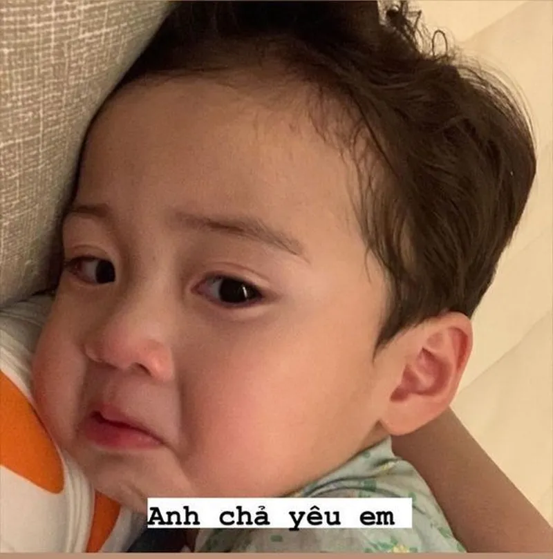 Nhộn hài meme chuột hamster mang đến tiếng cười cho mọi người Nhộn hài meme chuột hamster mang đến tiếng cười cho mọi người