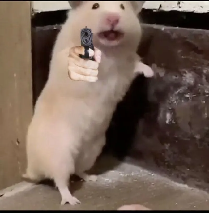 Chuột jerry meme tết mang đến không khí vui tươi cho ngày lễ Chuột jerry meme tết mang đến không khí vui tươi cho ngày lễ