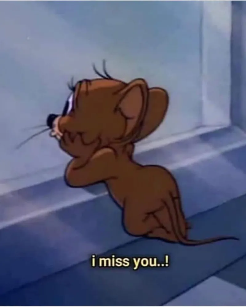 Hài hước meme chuột hamster là lựa chọn tuyệt vời cho những ai yêu thích hài Hài hước meme chuột hamster là lựa chọn tuyệt vời cho những ai yêu thích hài