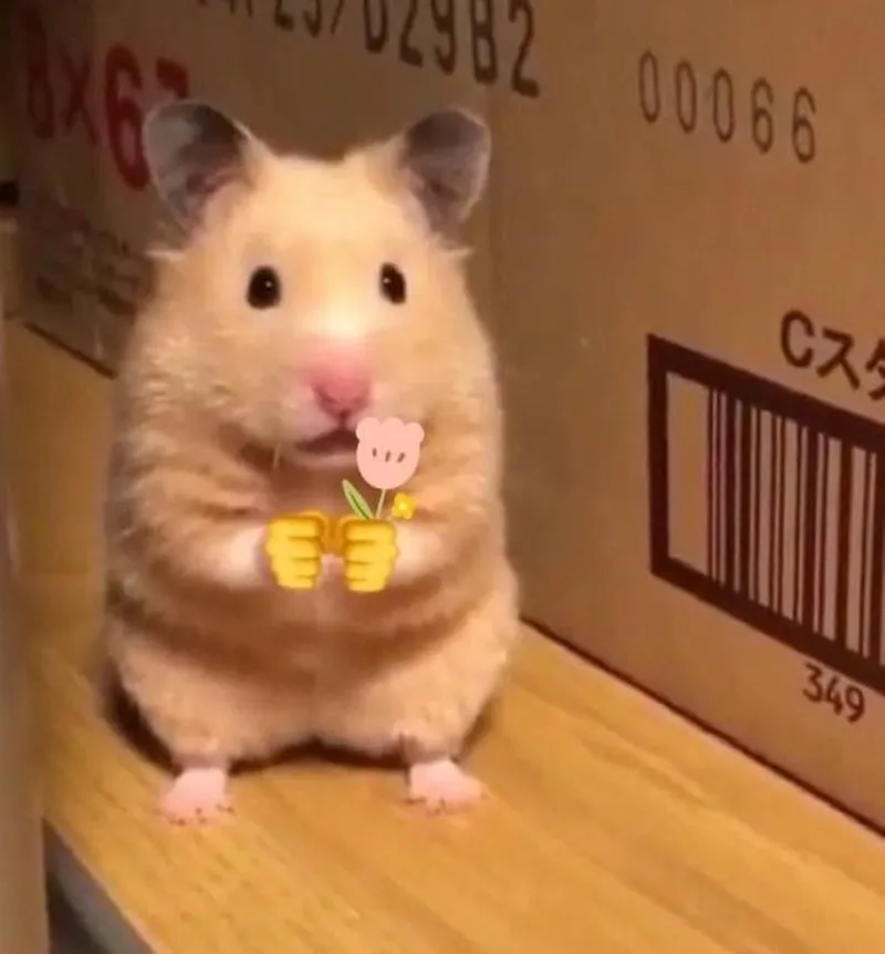 Meme chuột jerry khóc thể hiện nỗi buồn một cách hài hước Meme chuột jerry khóc thể hiện nỗi buồn một cách hài hước