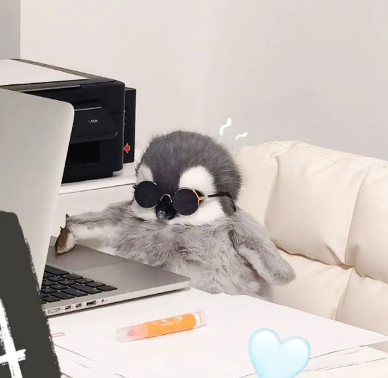 Meme cánh cụt thật dễ thương và vui nhộn Meme cánh cụt thật dễ thương và vui nhộn