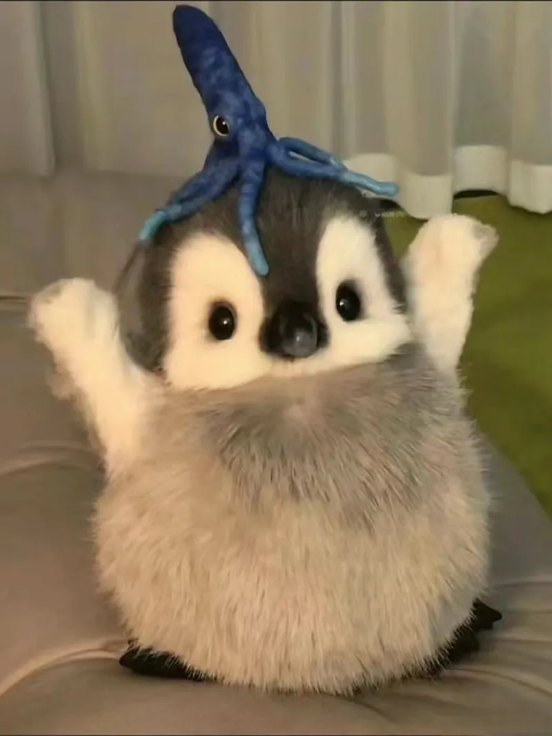Meme cánh cụt căng khiến bạn cảm thấy thích thú Meme cánh cụt căng khiến bạn cảm thấy thích thú