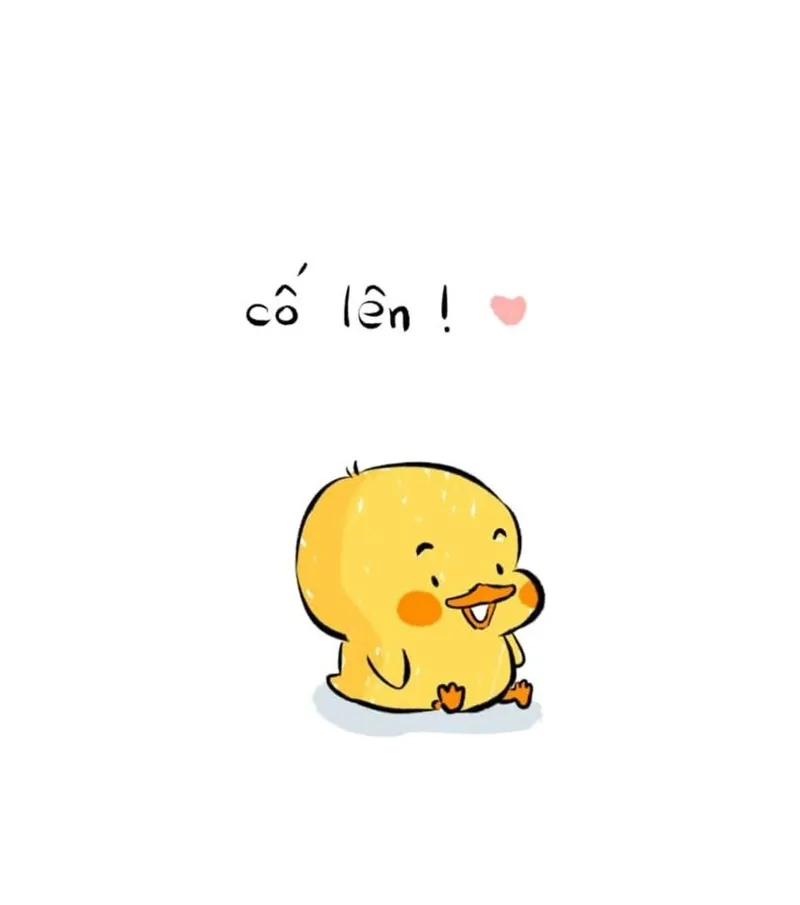 Cốt của meme sea mang đến những khoảnh khắc hài hước và thú vị Cốt của meme sea mang đến những khoảnh khắc hài hước và thú vị
