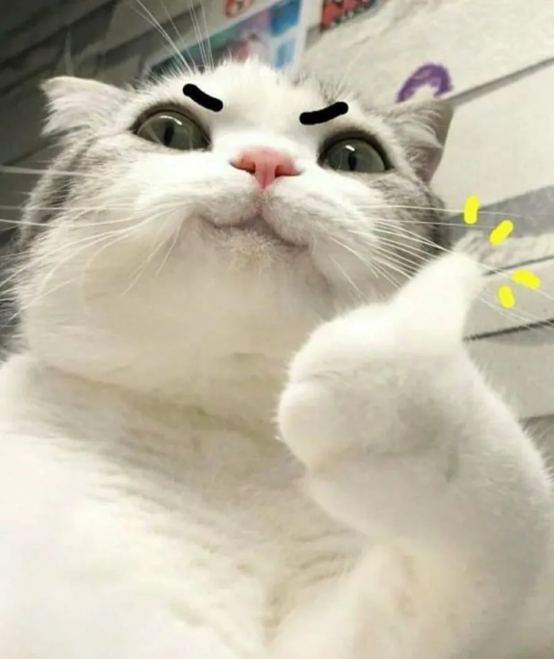 Meme tôi đang cố giải thích mang đến sự hài hước trong giao tiếp Meme tôi đang cố giải thích mang đến sự hài hước trong giao tiếp
