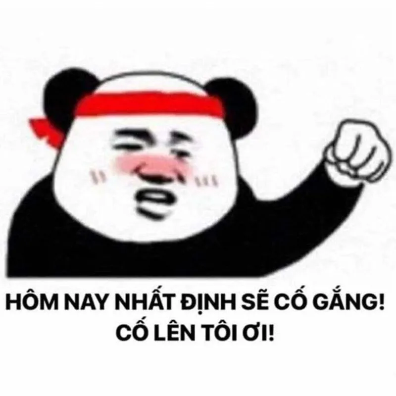Meme tiện tì cố chấp thể hiện sự kiên định một cách hài hước Meme tiện tì cố chấp thể hiện sự kiên định một cách hài hước