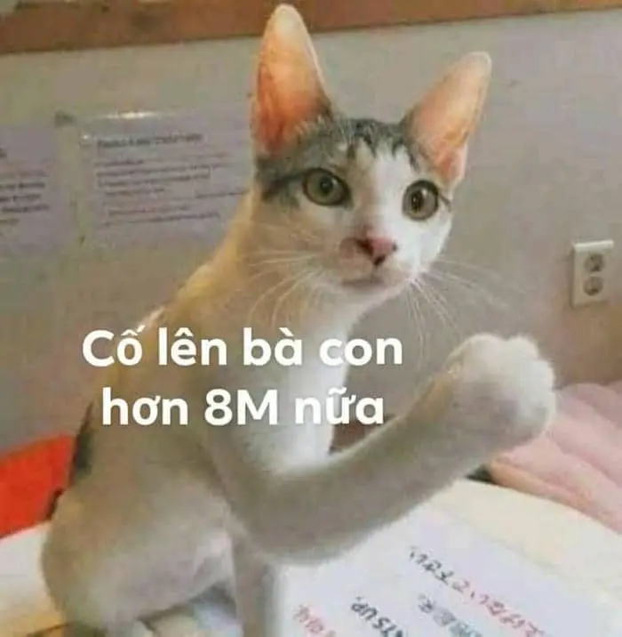 Meme chúng tôi đã cố gắng hết sức truyền cảm hứng cho mọi người Meme chúng tôi đã cố gắng hết sức truyền cảm hứng cho mọi người