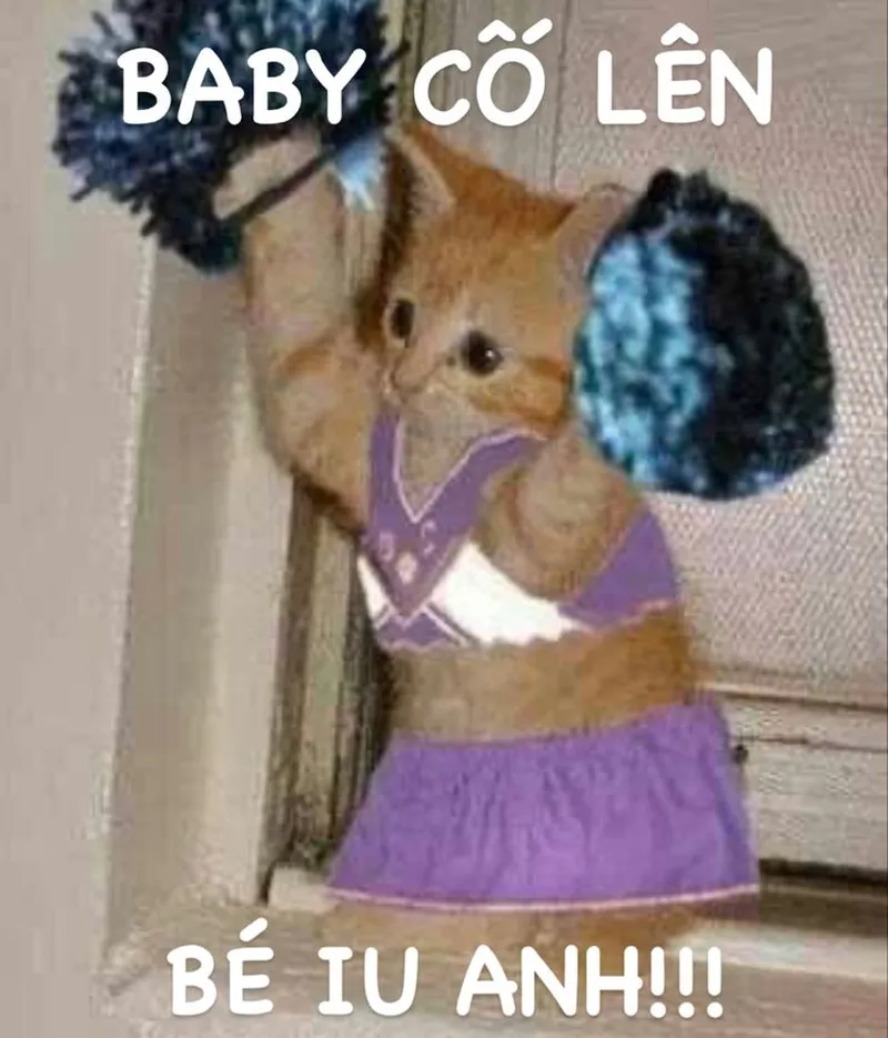 Fighting meme cố lên khuyến khích bạn vượt qua mọi thử thách Fighting meme cố lên khuyến khích bạn vượt qua mọi thử thách